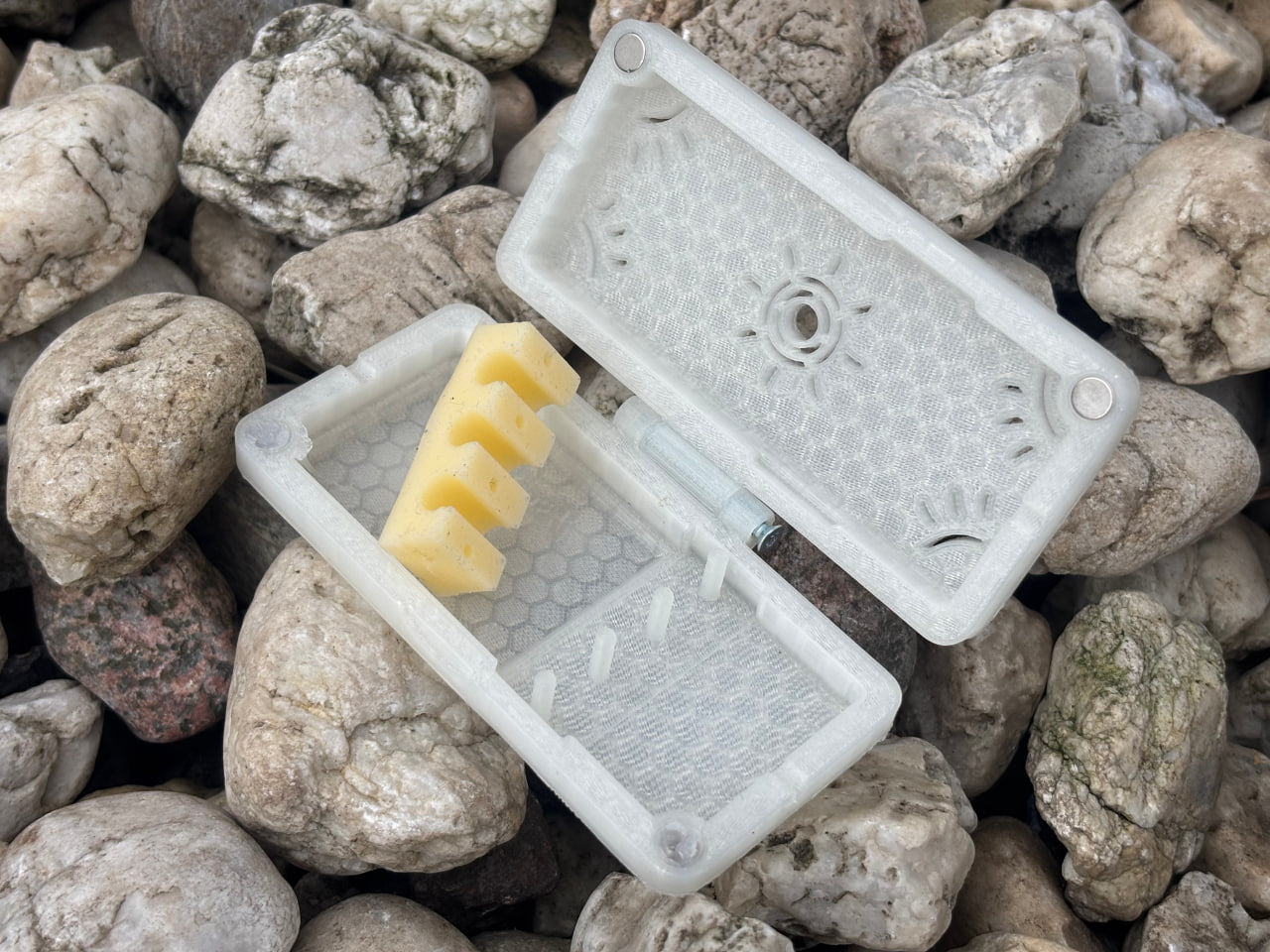 Reed Case for 3 Legere Oboe Reeds