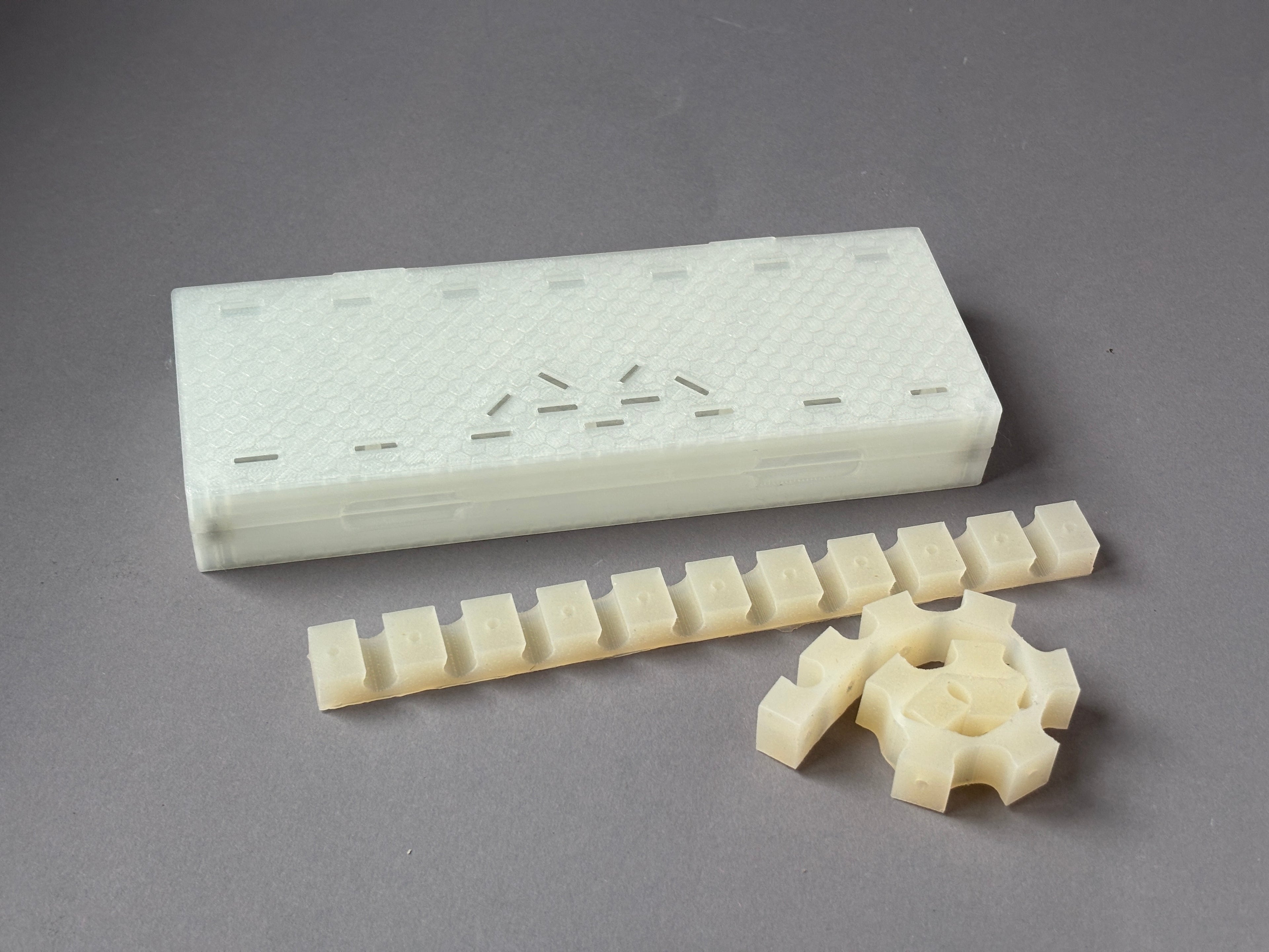 case for bassoon reeds 20 pieces white