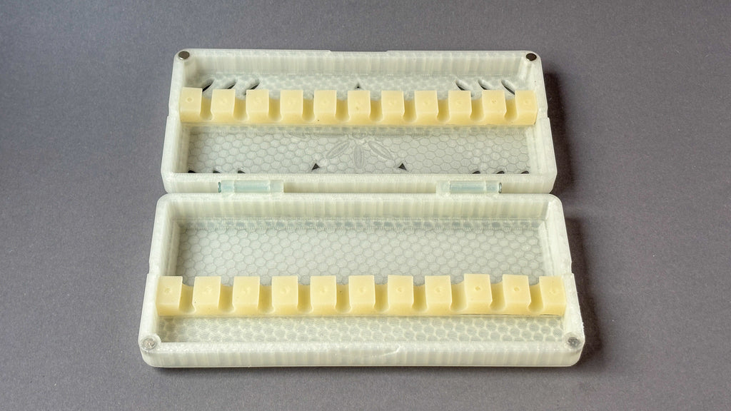 clear yellow bassoon reed case fswstudio open